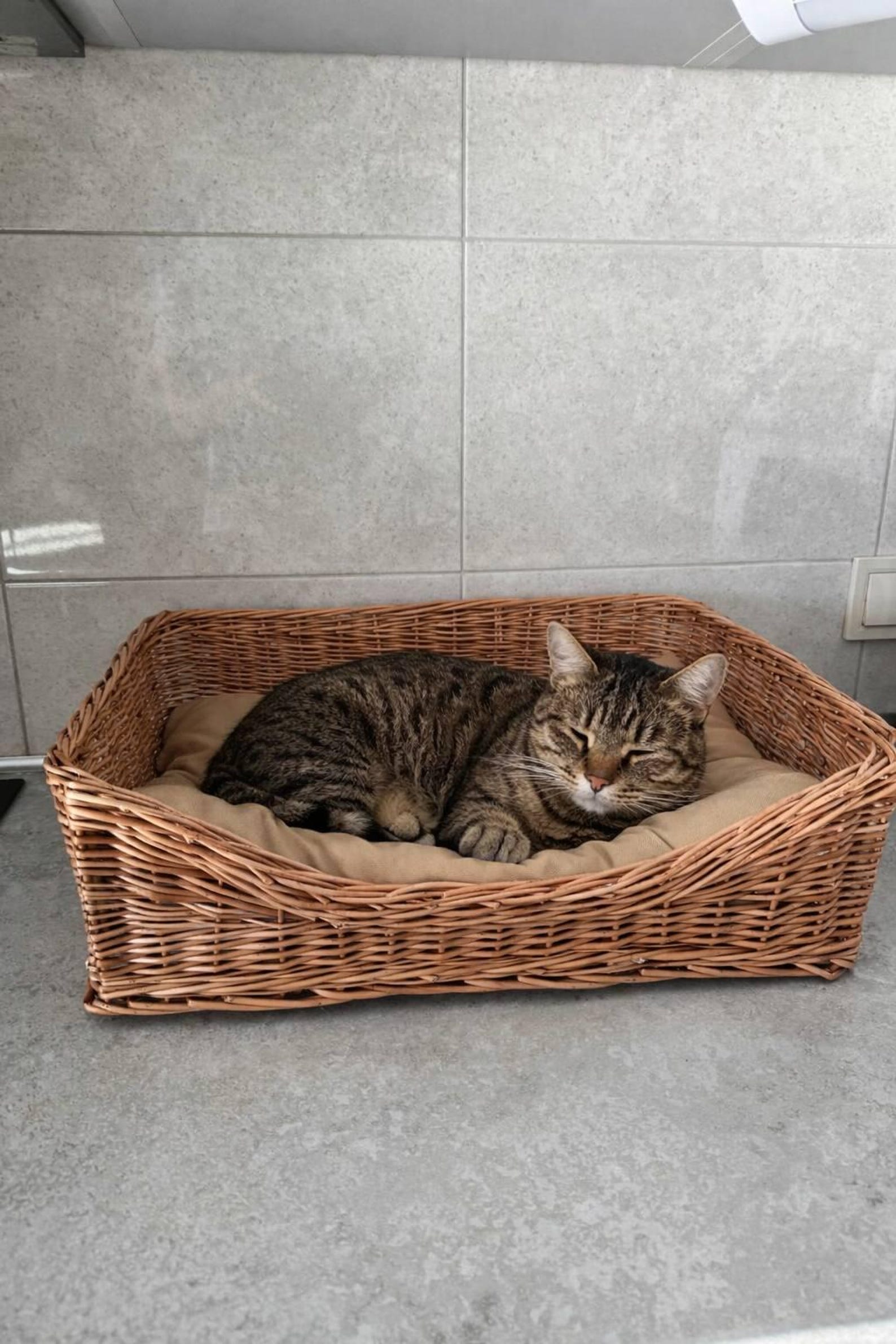 BinkyPaws Petite Natural Wicker Pet Bed | Handwoven in Poland